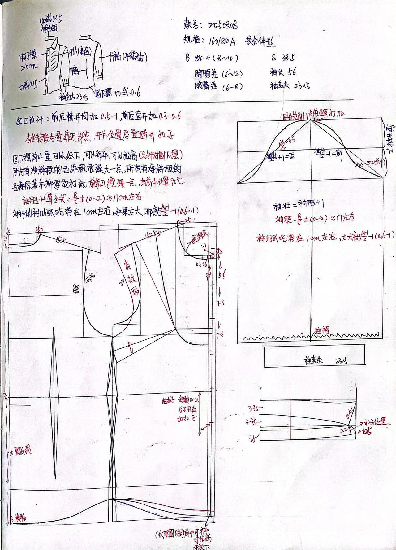 衬衫领,一片袖,明门襟,圆下摆,女衬衫,女装